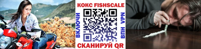КОКАИН Fish Scale  даркнет сайт  Гатчина 