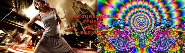 шишки Волосово