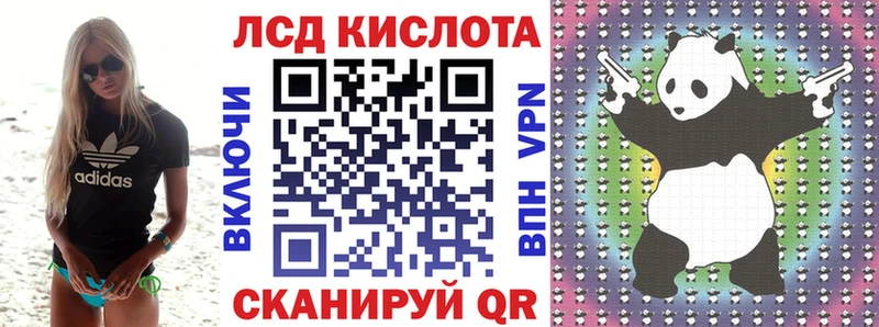 Наркотические марки 1,5мг где купить наркоту Гатчина