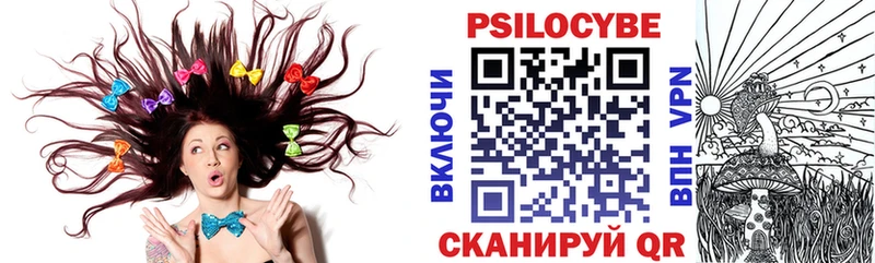продажа наркотиков  Гатчина  Галлюциногенные грибы Magic Shrooms 